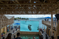 Manifesta 11