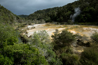 Waimangu volcanic valley