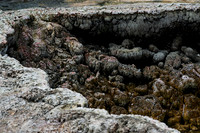 Waimangu volcanic valley