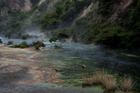 Waimangu volcanic valley