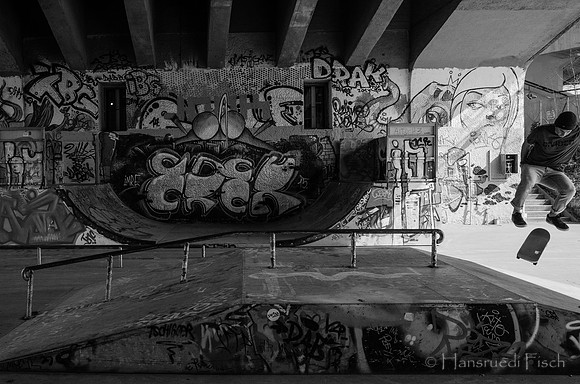 Skateboarder